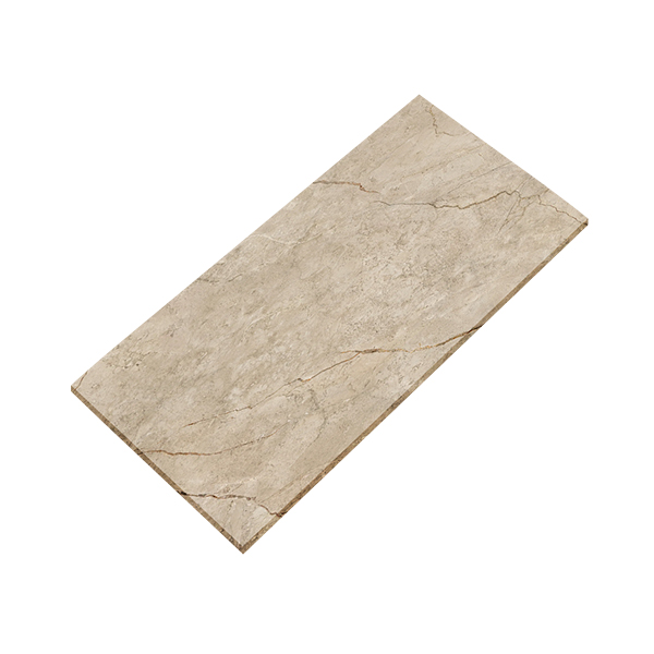 Sahara Vein 24x48 Porcelain Paver from NT Pavers