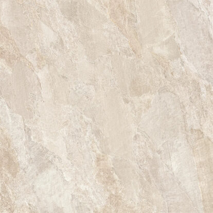 Shell Porcelain Tile