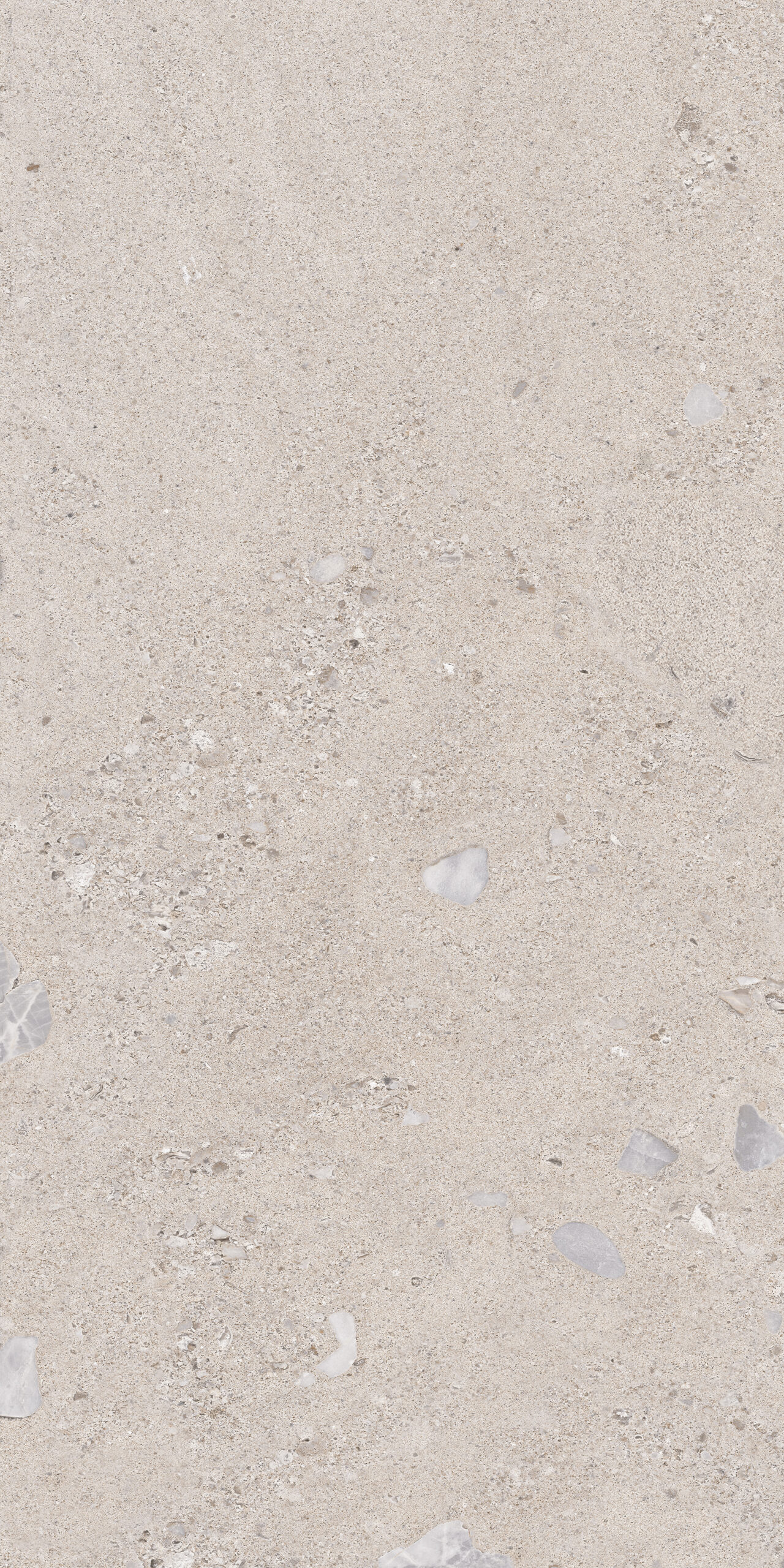 Novara Shell Grey 1 scaled