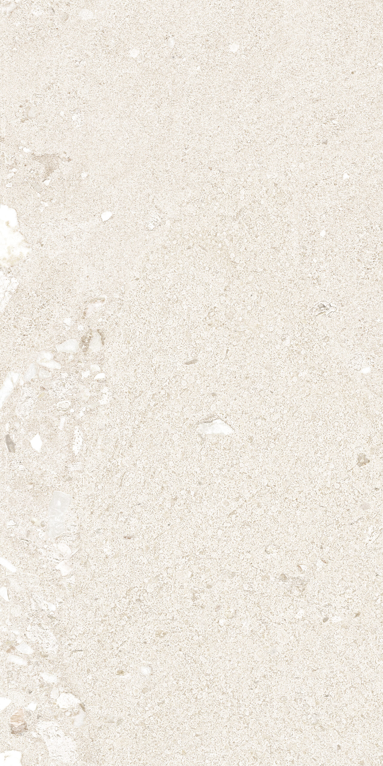 Novara Shell White 1 scaled